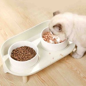 Cat Feeding
