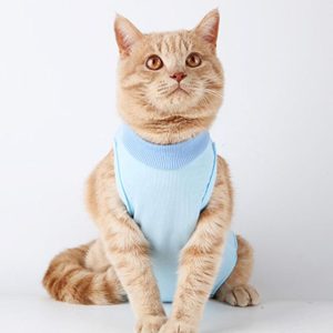Cat Clothing