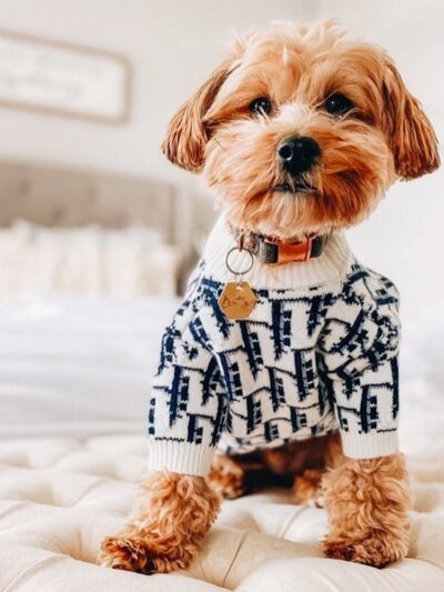 New 2021 Dog Pattern Sweater