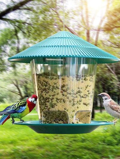 Automatic Bird Feeder