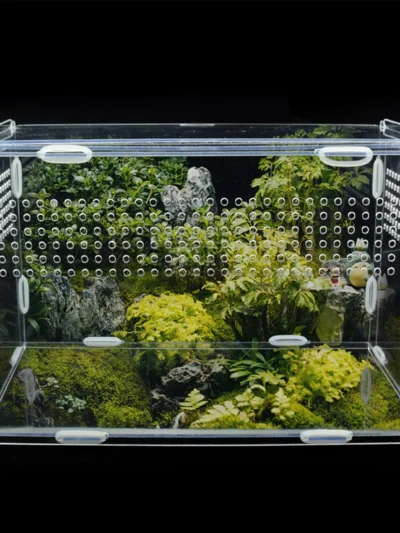 Large Acrylic Terrarium