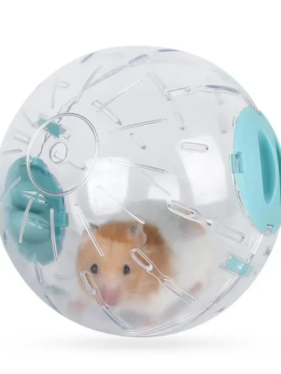 Hamster Running Ball With Light