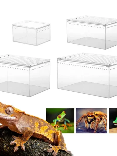 Acrylic Reptile Breeding Box