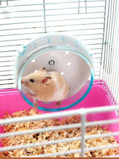 Small Pets Guinea Pig Hamster Wheel