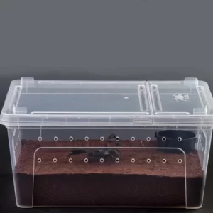 Reptile Feeding Box