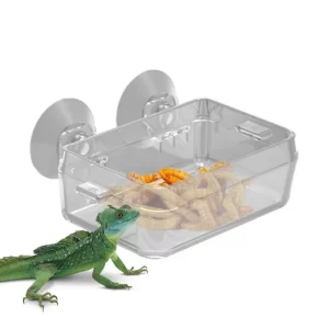 Reptile Feeders