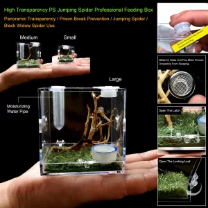 Reptiles Breeding Box Terrarium