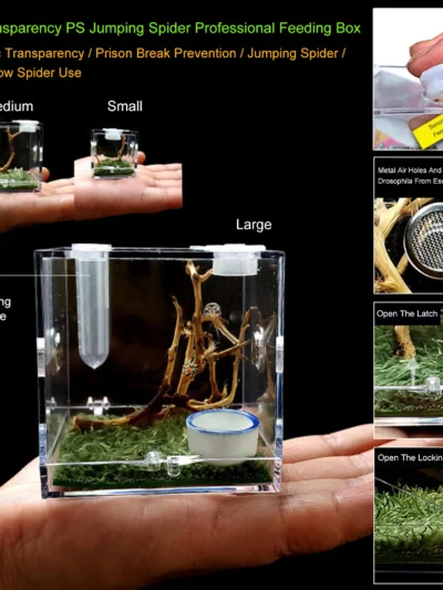 Reptiles Breeding Box Terrarium