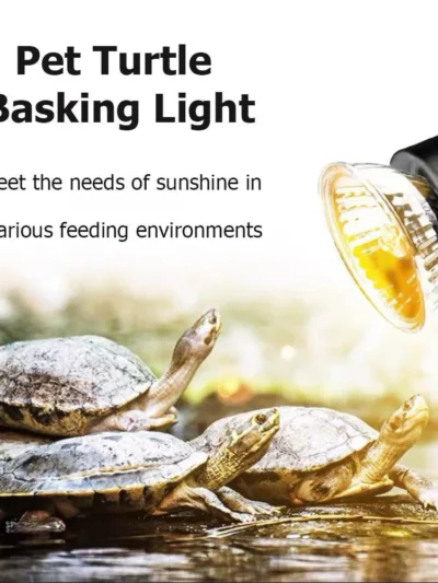 UVA+UVB Reptile Lamp