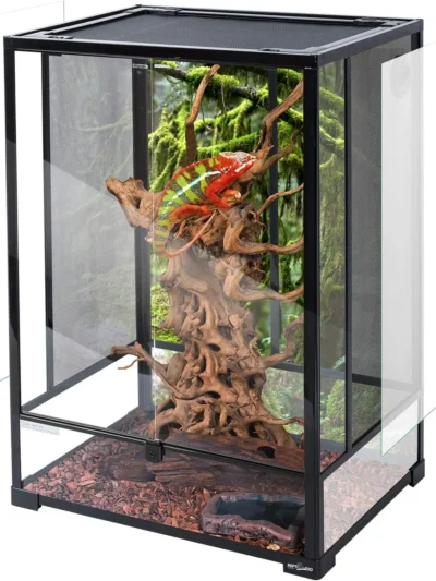 Reptile Tall Glass Terrarium