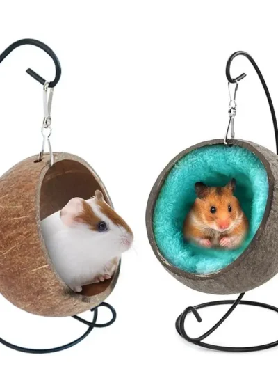 Hamster Coconut Hideout