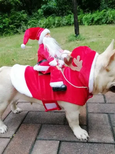 Santa Claus Riding a Dog Jacket