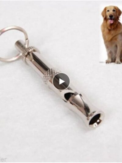 Adjustable Stainless Steel Dog Training Whistle Home