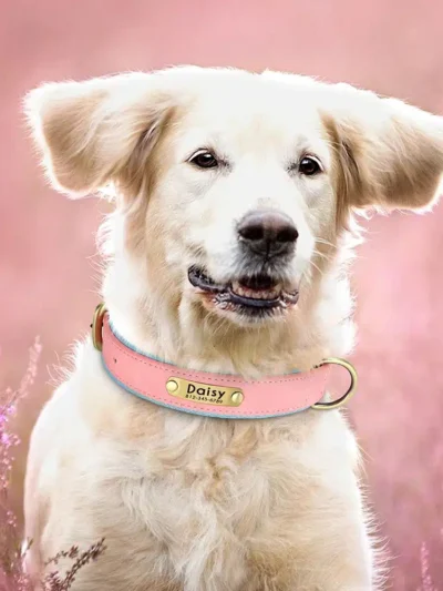 Customized Leather ID Nameplate Dog Collar Soft Padded Dogs Collars Free Engraving Name for Small Medium Large Dogs Adjustable