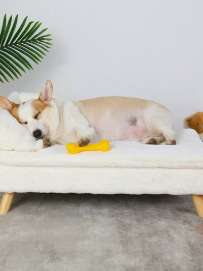 Elevated Nordic Dog Bed