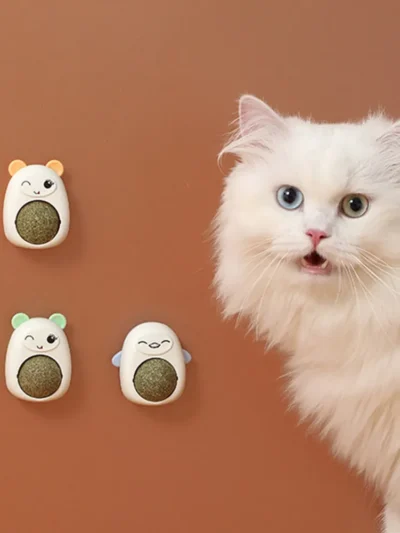 Plastic Catnip Ball Natural Safe Cats Catnip Balls Toy with Transparent Cover Cats Teeth Cleaning Catnip for Pet Treats Supplies