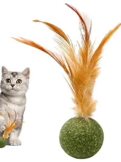 Catnip Ball Feather Cat Tooth Cleaning Cat Toy Promote Digestion Pet Kitten Interactive Chew Hair Removing Ball Pet Accessories