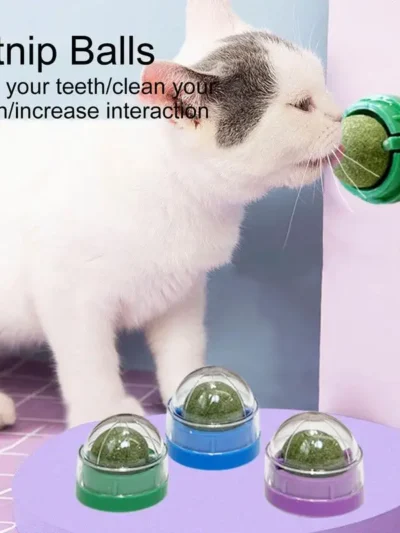 Catnip Wall Ball