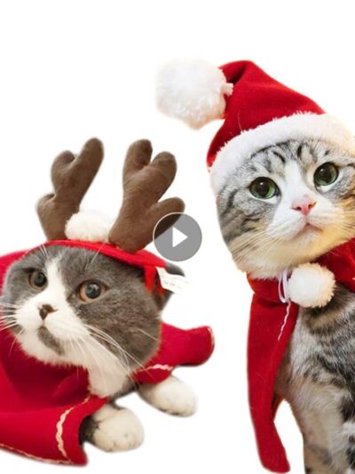 Christmas Cat Costumes