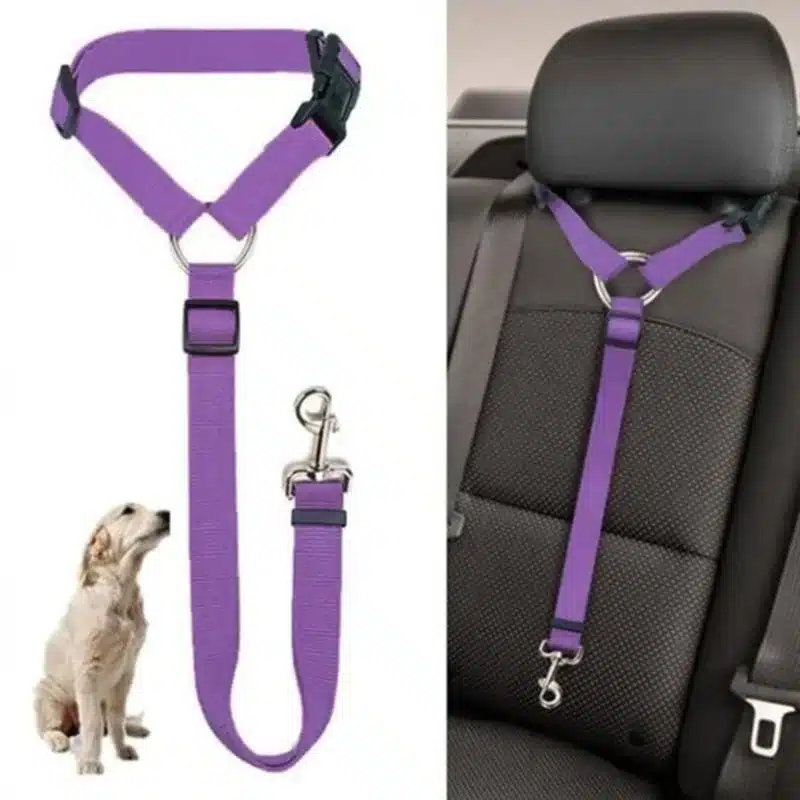 Solid Color Two-in-one Pet Car Seat Belt Nylon Lead Leash Backseat Safety Belt Adjustable Dogs or Cats that attaches to Harness Collar Pet Accessories