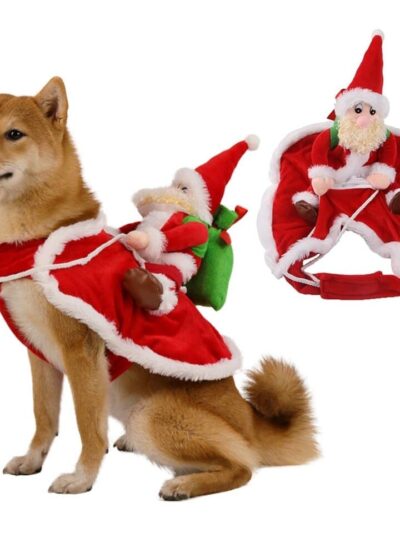 Santa Clause Riding on Dog Costume