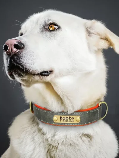 Customized Leather ID Nameplate Dog Collar Soft Padded Dogs Collars Free Engraving Name for Small Medium Large Dogs Adjustable