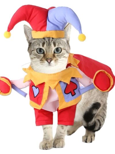 Cat Joker Costume