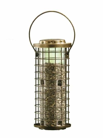 Bird Feeder Squirrel Stumper
