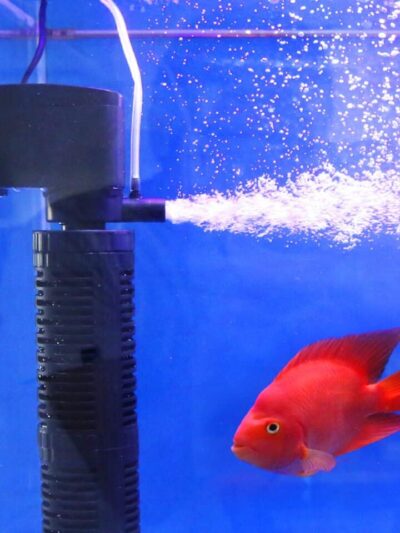 3-in-1 Aquarium Oxygen Filter