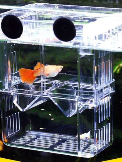 Acrylic Fish Tank