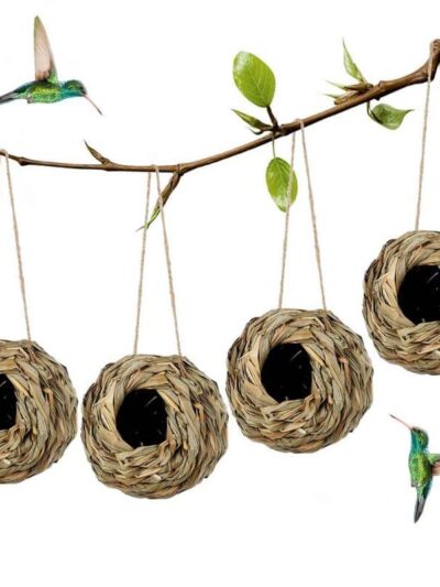 Natural Grass Bird Nest