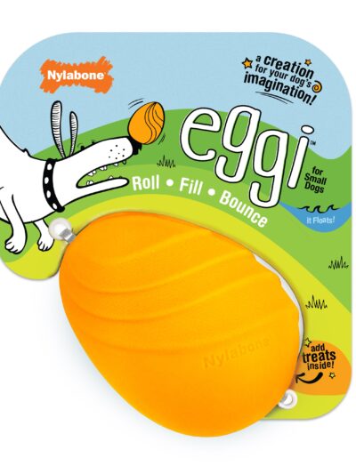 Nylabone Creative Play Eggi Dog Treat Toy Orange, 1ea/SMall/Regular Up To 25 Ibs. 1 ct