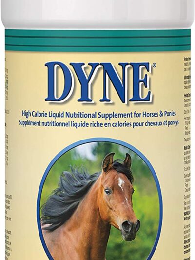Lambert Kay Dyne High Calorie Liquid Nutritional Equine Supplement 1ea/32 fl oz