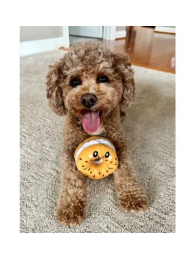 Territory Dog Plush Bagel 4 Inch