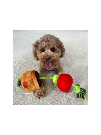 Territory Dog Treat Tug Tomato 15 Inch