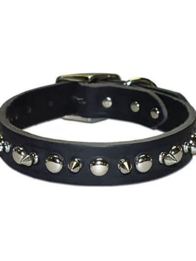 Omni Pet Latigo Leather 1 Ply Spiked Dog Collar Black 1 x 20in.