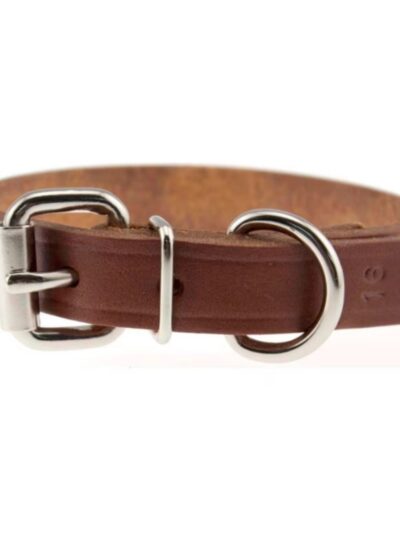 Omni Pet Omnipet Regular Bully Leather Collar Brown  1 x 27in.