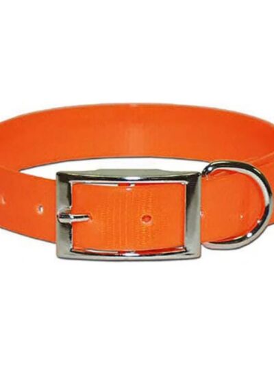 Omni Pet Regular Sunglo Dog Collars Orange 3/4 x 16in.