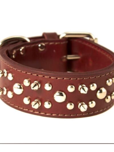Omni Pet Latigo Leather Spike/Stud Dog Collar Burgundy 1.75 x 20in.