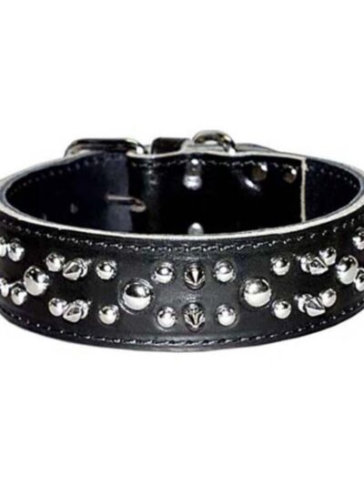 Omni Pet Latigo Leather Spike/Stud Dog Collar Black 1.75 x 26in.