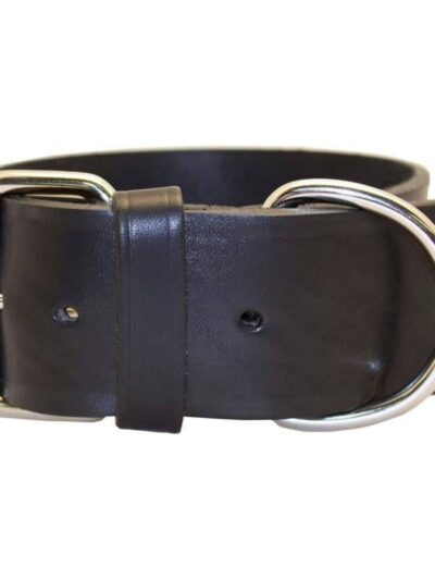 Omni Pet Latigo Leather 1 Ply Dog Collar Black 2 x 21in.
