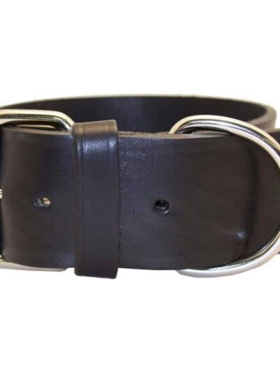 Omni Pet Latigo Leather 1 Ply Dog Collar Black 2 x 25in.