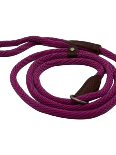 Omni Pet British Slip Loop Rope Leads For Dogs Royal Blue 6ft.