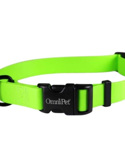 Omni Pet Carnival Biothane Dog Collar Lime Green 3/4 x 14 x 20in.