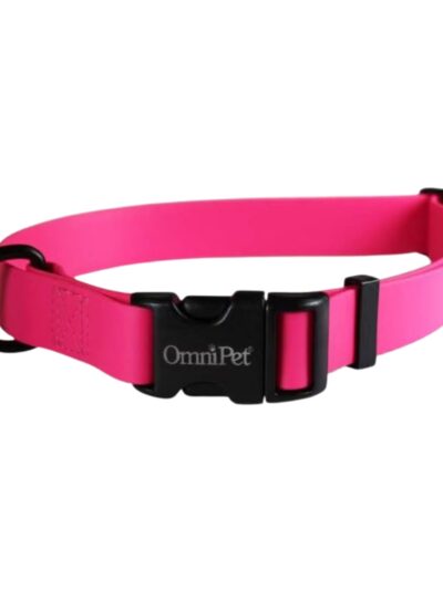 Omni Pet Carnival Biothane Dog Collar Ruby 3/4 x 14 x 20in.