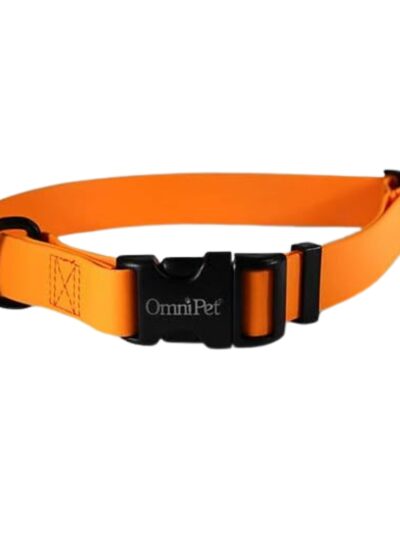 Omni Pet Carnival Biothane Dog Collar Orange 3/4 x 14 x 20in.