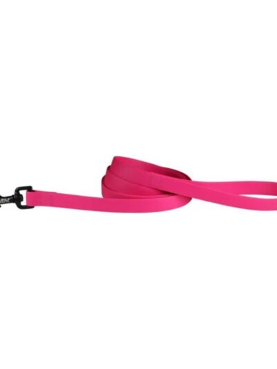 Omni Pet Carnival Biothane Dog Lead Ruby 3/4in. x 6ft.