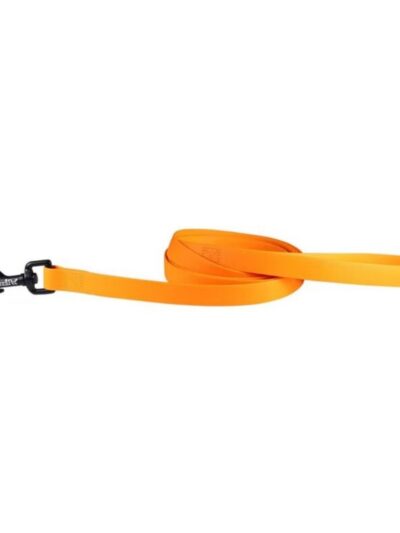 Omni Pet Carnival Biothane Dog Lead Orange 3/4in. x 6ft.