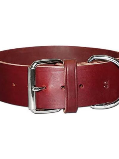 Omni Pet Latigo Leather 1 Ply Dog Collar Burgundy 2 x 21in.