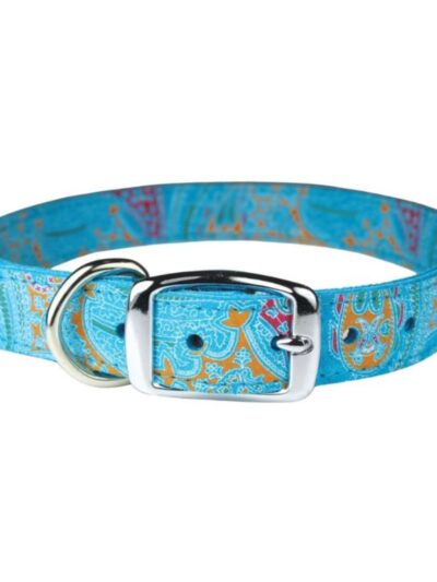 Omni Pet Leather Paisley Dog Collar Turquoise 1 x 22in.